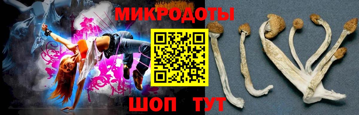 Архангельск  Псилоцибиновые грибы Magic Shrooms  Вход с VPN 
